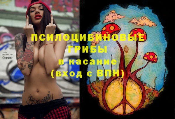 МДПВ Алексин
