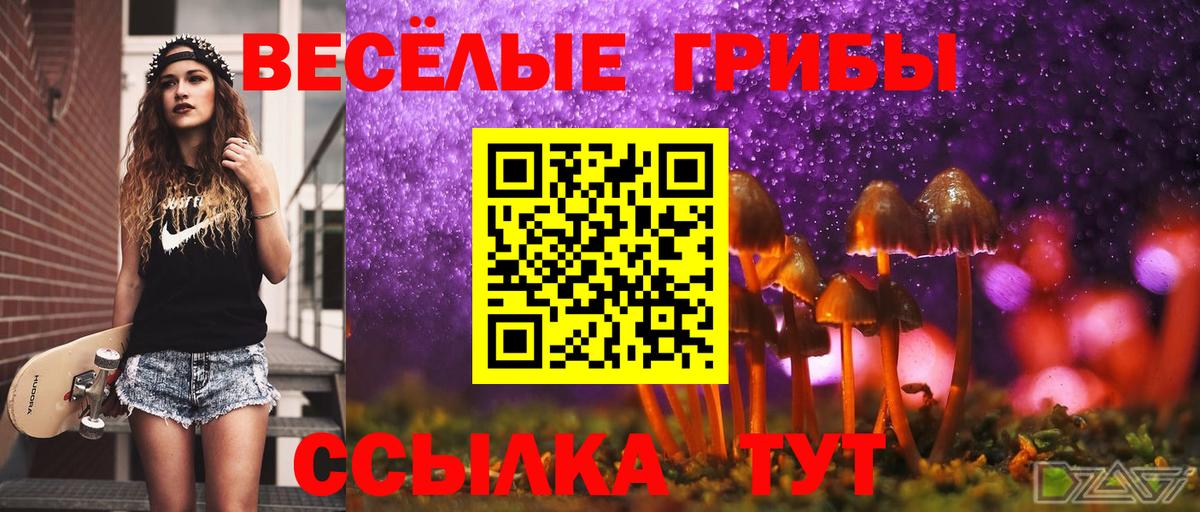 Галлюциногенные грибы Magic Shrooms Дедовск