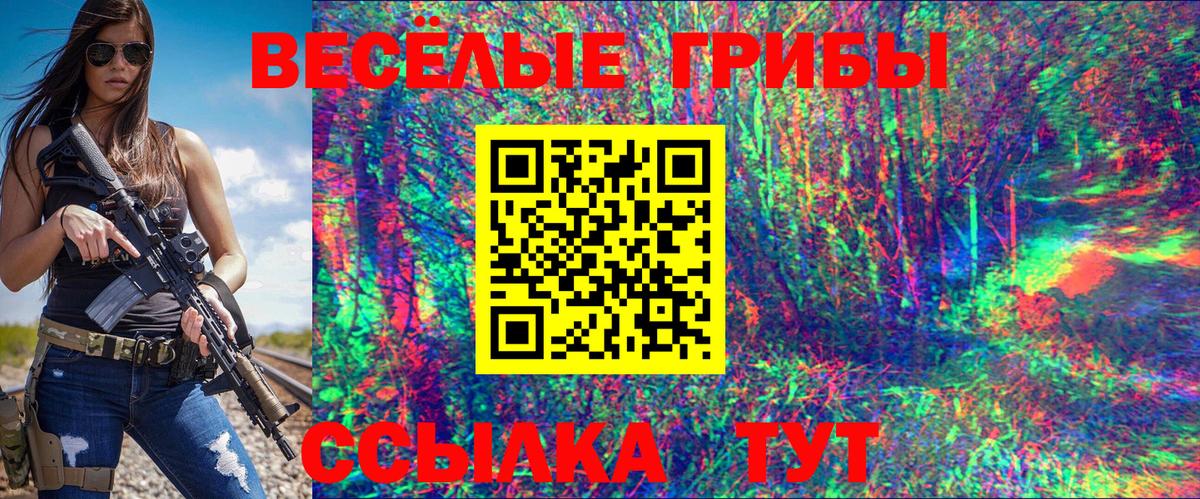 Галлюциногенные грибы Psilocybe  Вход с VPN  Дедовск 